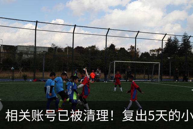 相关账号已被清理！复出5天的小杨哥，就撞上难堪一幕