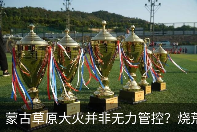 蒙古草原大火并非无力管控？烧荒能增加土壤肥力，是真的吗？长远看有什么影响？