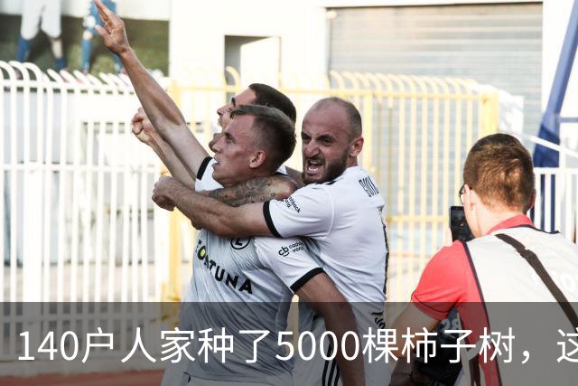 140户人家种了5000棵柿子树，这个浙江小村国庆6天来了8万人